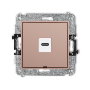 Dubbel USB-C-salmon